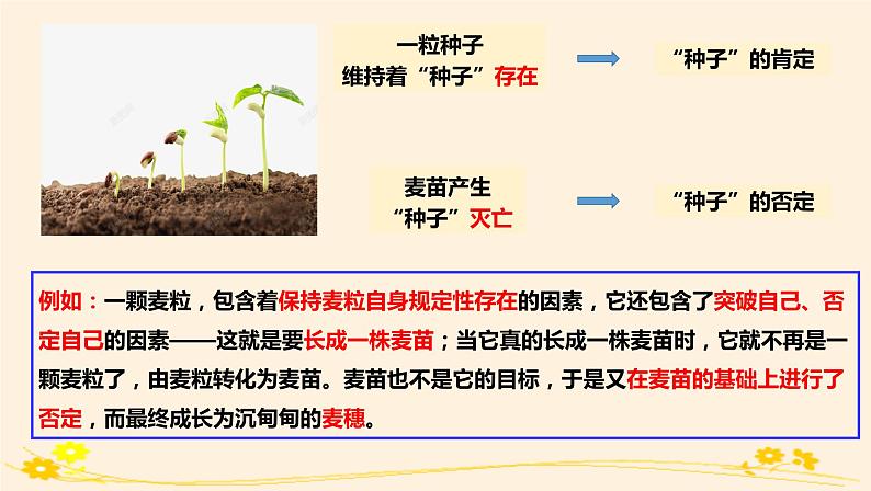 10.1不作简单肯定或否定 课件05