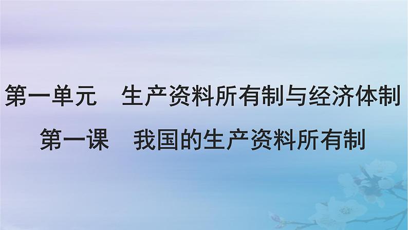 2025届高考政治一轮总复习必修2第一单元生产资料所有制与经济体制第一课我国的生产资料所有制课件02