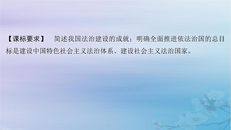 2025届高考政治一轮总复习必修3第三单元全面依法治国第七课治国理政的基本方式课件02