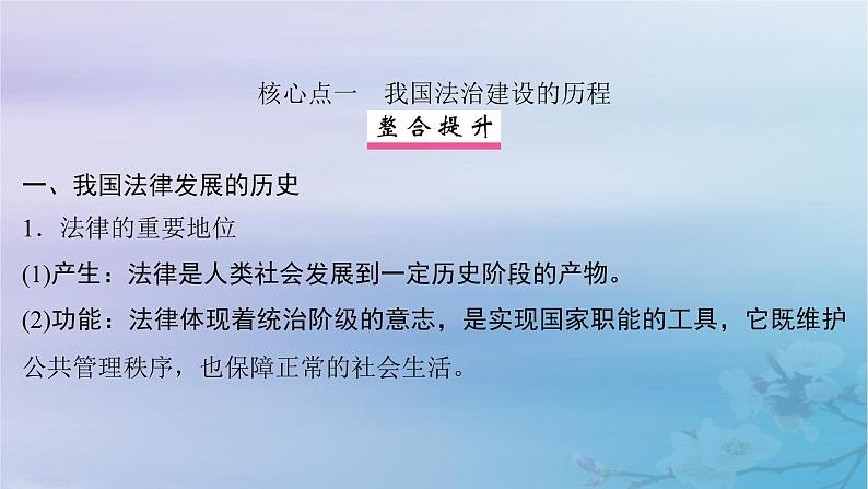 2025届高考政治一轮总复习必修3第三单元全面依法治国第七课治国理政的基本方式课件06