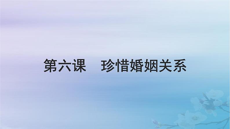 2025届高考政治一轮总复习选择性必修2第二单元家庭与婚姻第六课珍惜婚姻关系课件01