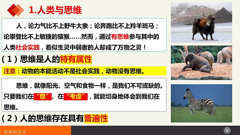 1.1思维的含义与特征课件2023-2024学年高中政治选择性必修三第8页