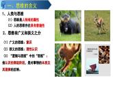 第一课 走进思维世界 课件-2023-2024学年高中政治统编版选择性必修3