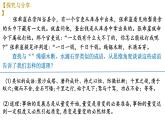 9.1 认识质量互变规律+课件-2023-2024学年高中政治统编版选择性必修3