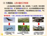 11.2联想思维的含义与方法 课件