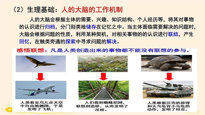 11.2联想思维的含义与方法 课件第5页