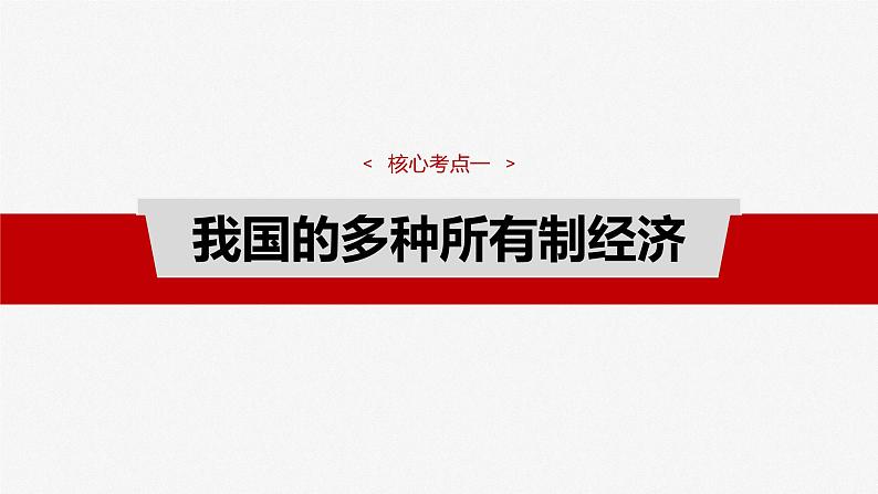 必修2 第五课　课时二　多种所有制经济共同发展-2025年高考政治一轮复习课件04