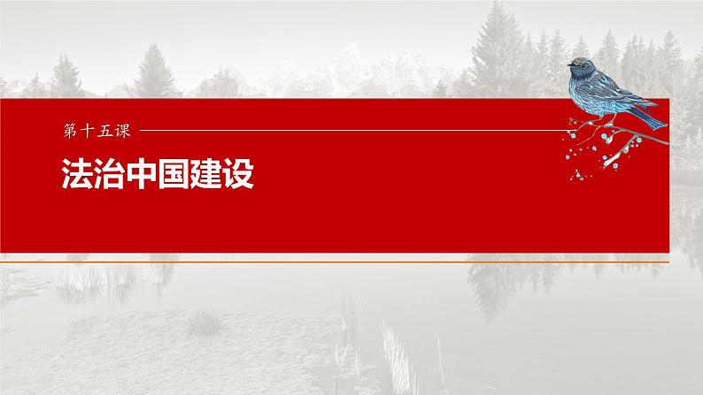 2025年高考政治大一轮复习 必修3 第十五课　法治中国建设（课件+讲义）03