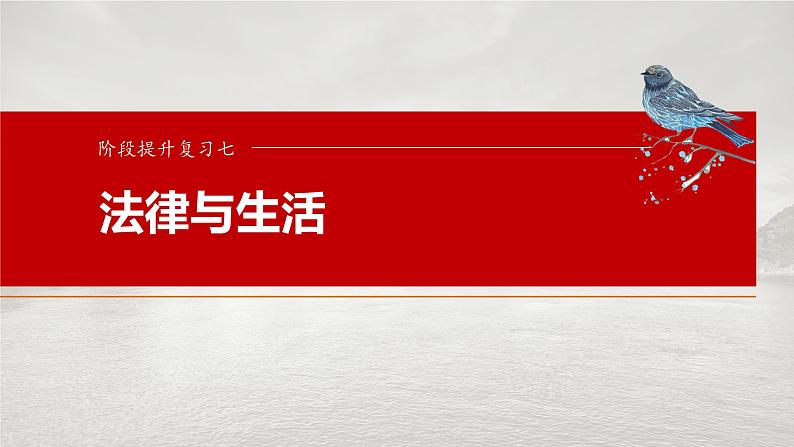 2025年高考政治大一轮复习 选择性必修2 阶段提升复习七　法律与生活（课件+讲义）03