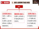 统编版高中政治选择性必修二法律与生活   第1单元复习——民事权利与义务  课件