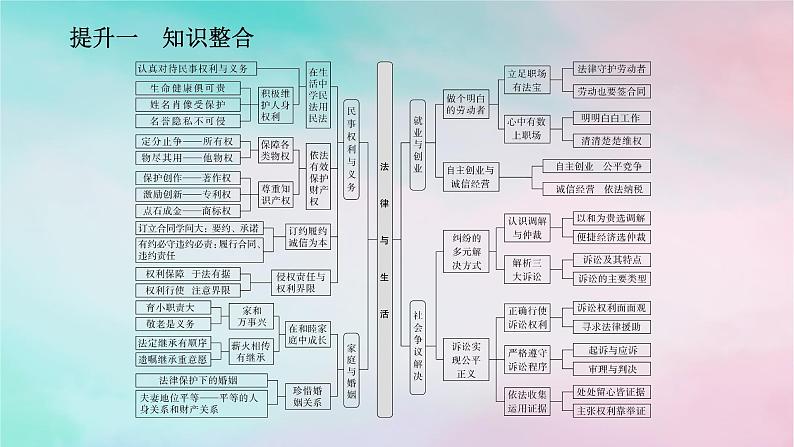 2025版高考政治全程一轮复习阶段复习提升八法律与生活课件02