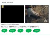 高中政治人教统编版必修3政治与法治3-1坚持党的领导精品课件3