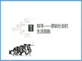 1.1原始社会的解体和阶级社会的演进   课件-2024-2025学年高中政治统编版必修一中国特色社会主义