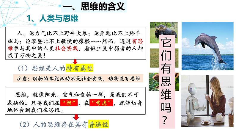 1.1 思维的含义与特征课件-2024-2025学年高中政治统编版选择性必修三逻辑与思维第5页