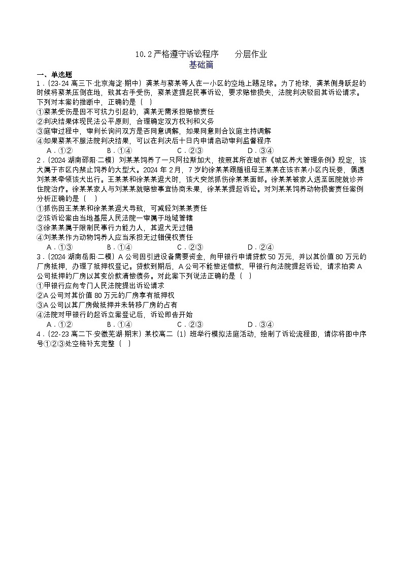 10.2《严格遵守诉讼程序》分层练习（原卷)-统编版政治选择性必修2第1页