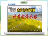 11.1《创新思维的含义与特征》课件+教案+分层作业+导学案—统编版政治选择性必修3