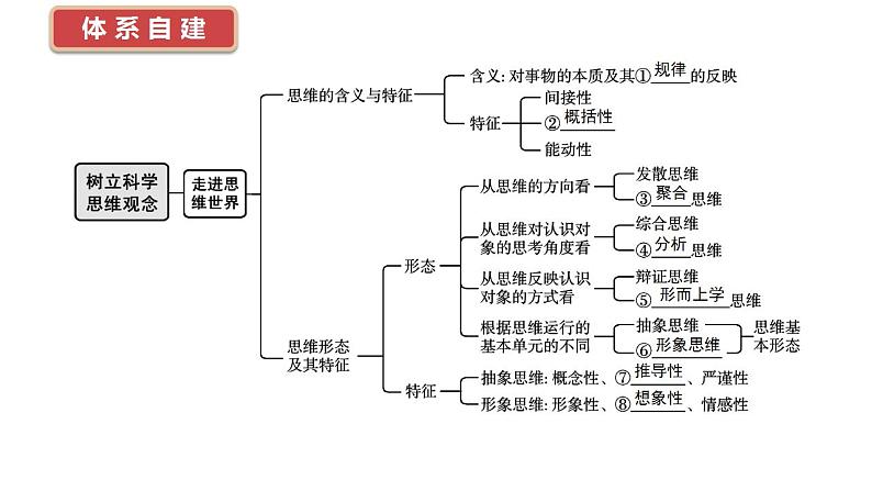 1.1 思维的含义与特征课件-2024届高考政治一轮复习统编版选择性必修三逻辑与思维第3页