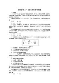 2024—2025高中政治必修4一轮复习课时作业17　文化的内涵与功能