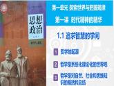 1.1追求智慧的学问（课件）高中政治必修四 哲学与文化（统编版）