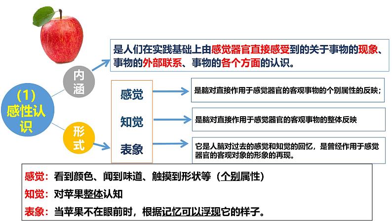 4.1 人的认识从何而来（课件）高中政治必修四 哲学与文化（统编版）08