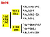 8.1 文化的民族性与多样性（课件）2024-2025高中政治必修四 哲学与文化（统编版）
