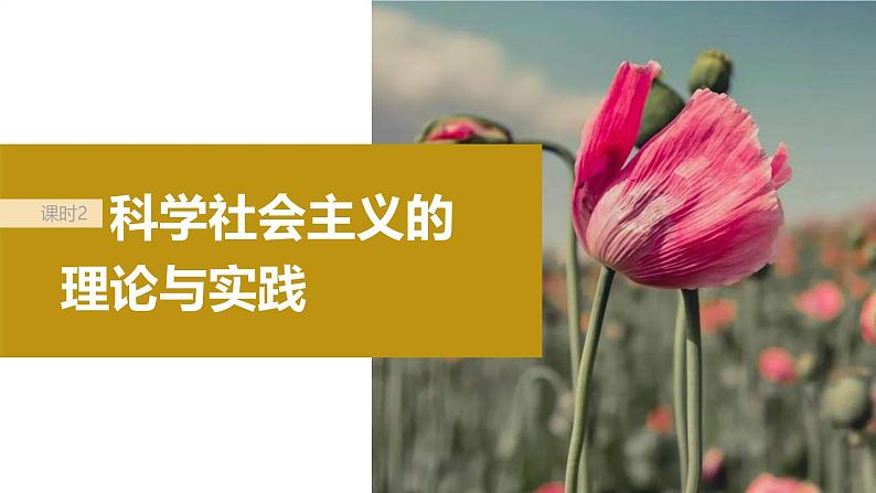 新高考政治一轮复习讲义课件必修1第1课课时2科学社会主义的理论与实践（含解析）02