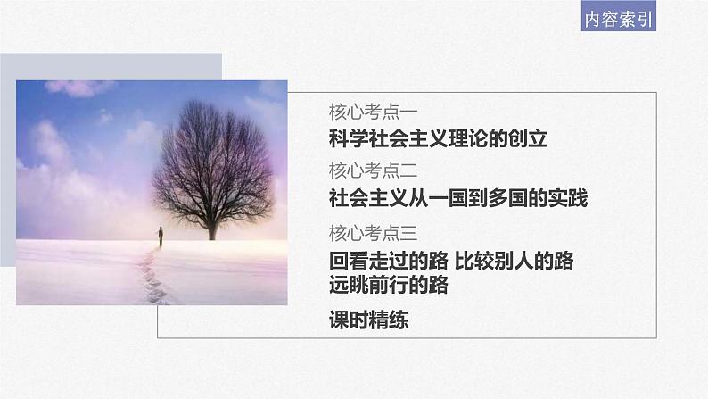 新高考政治一轮复习讲义课件必修1第1课课时2科学社会主义的理论与实践（含解析）03
