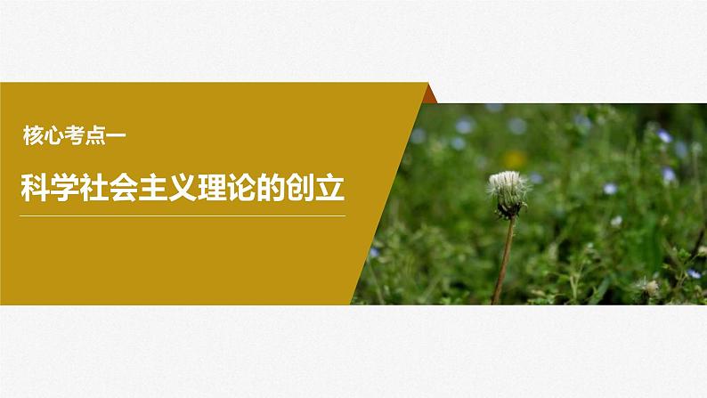 新高考政治一轮复习讲义课件必修1第1课课时2科学社会主义的理论与实践（含解析）04