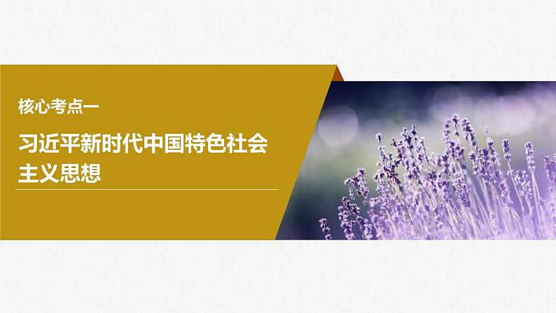 新高考政治一轮复习讲义课件必修1第4课课时2习近平新时代中国特色社会主义思想（含解析）04