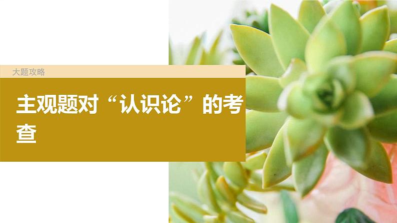 新高考政治一轮复习讲义课件必修4大题攻略主观题对“认识论”的考查（含解析）02