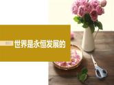 新高考政治一轮复习讲义课件必修4第20课课时2世界是永恒发展的（含解析）