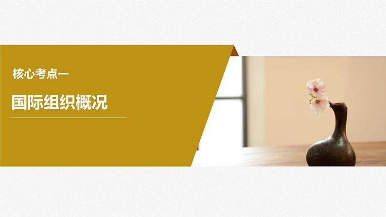 新高考政治一轮复习讲义课件选择性必修1第310课课时1国际组织与联合国（含解析）07