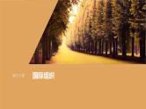 新高考政治一轮复习讲义课件选择性必修1第310课课时2区域性国际组织和新兴国际组织（含解析）