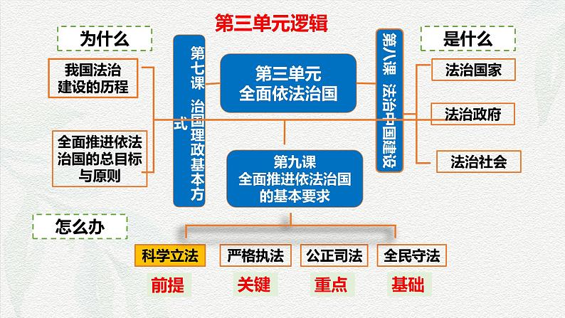 9.1  科学立法(课件＋视频)(部编版)第2页