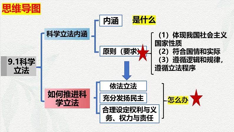 9.1  科学立法(课件＋视频)(部编版)第5页