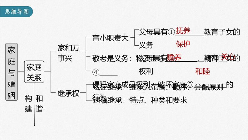 新高考政治一轮复习讲义课件 第32课 家庭与婚姻（含解析）03