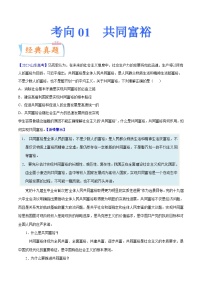 新高考政治一轮复习考点练习考向01 共同富裕（2份打包， 原卷版+解析版）