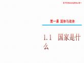 1.1国家是什么课件- 高中政治统编版选择性必修一当代国际政治与经济