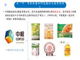1.2 坚持“两个毫不动摇” 课件-高中政治统编版必修二 经济与社会