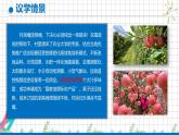 2.1充分發(fā)揮市場在資源配置中的決定性作用 課件-高中政治統(tǒng)編版必修二經(jīng)濟與社會