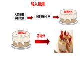 4.1我国的个人收入分配 课件-高中政治统编版必修二经济与社会