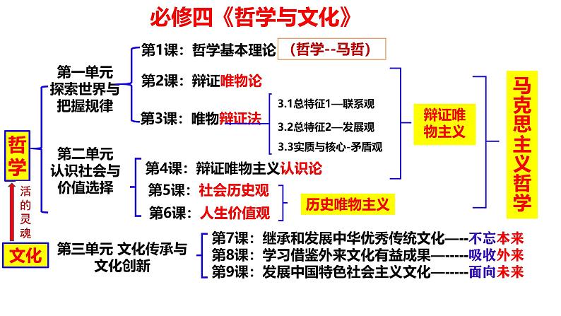 4.1 人的认识从何而来 课件-高中政治统编版必修四哲学 与文化第1页