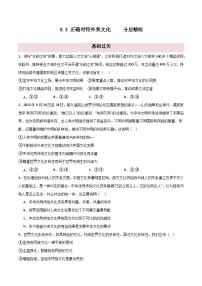 高中政治 (道德与法治)正确对待外来文化教学课件ppt