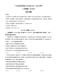 四川省广安市友实学校2024-2025学年高三上学期10月月考政治试题