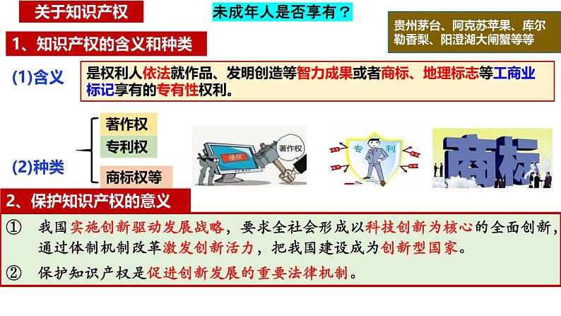 2.2尊重知识产权 课件-2023-2024学年高中政治统编版选择性必修二法律与生活第5页