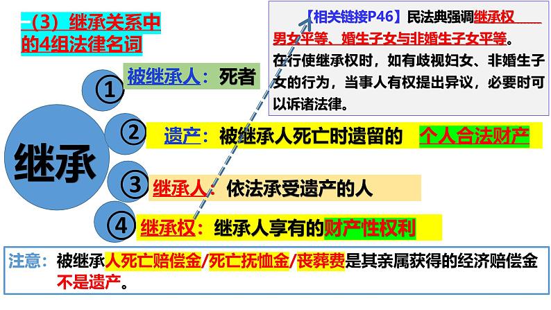 5.2薪火相传有继承 课件-2024-2025学年高中政治统编版选择性必修二法律与生活第5页