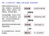 8.2 诚信经营 依法纳税 课件-2024-2025学年高中政治统编版选择性必修二法律与生活