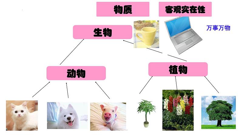 2.1世界的物质性 课件-2024-2025学年高中政治统编版必修四哲学与文化03