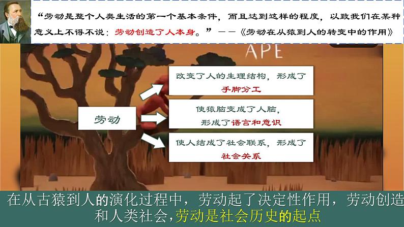 5.1社会历史的本质 课件-2024-2025学年高中政治统编版必修四哲学与文化第7页