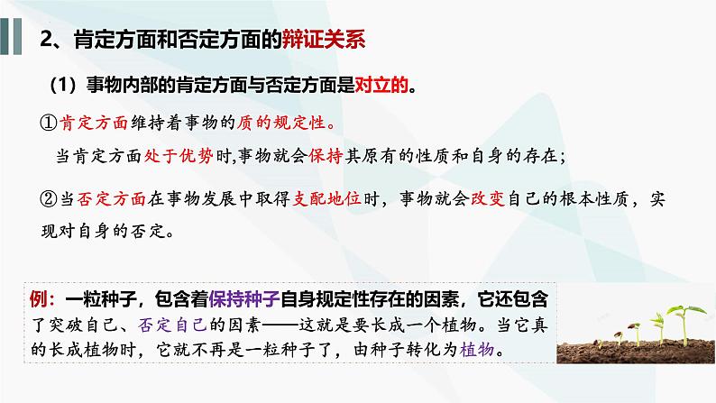 10.1 不作简单肯定或否定 课件-2024-2025学年高中政治统编版选择性必修三逻辑与思维07